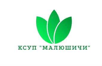Малюшичи