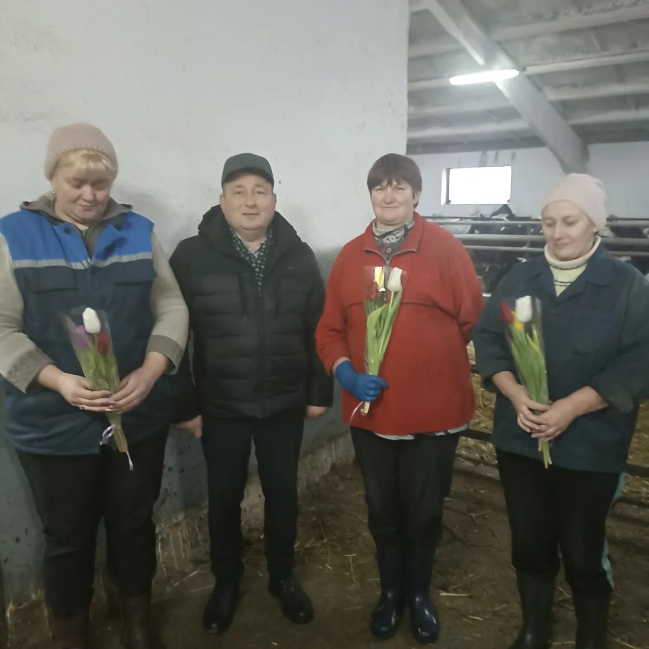 МТФ "Сервечь"