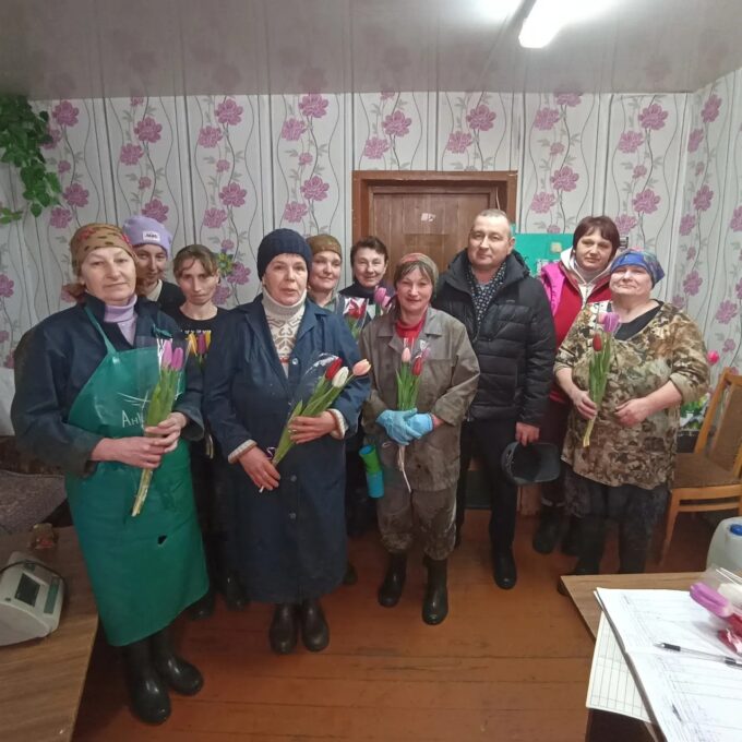 МТФ "Машевичи"